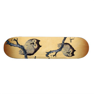 Vintage Sluimerende Uil Skateboard