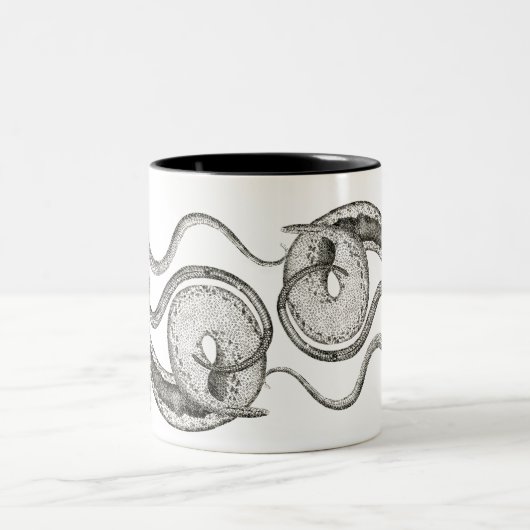 Vintage Snake Mok (Center)