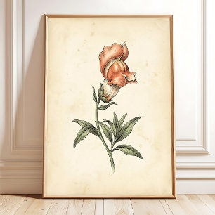 Vintage Snapdragon Botanische Kunstprint op Canvas Poster