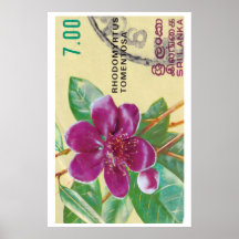 Vintage Sri Lanka Bloem Print - Postzegel