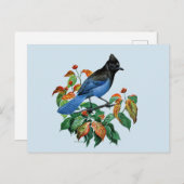 Vintage Stellars Jay briefkaart (Voorkant / Achterkant)
