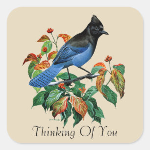 Vintage stellers gaai vogel Denk aan jou sticker