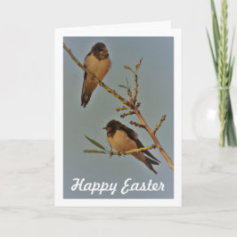 Vintage Stijl Zwaluw Vogels Portret Kaart