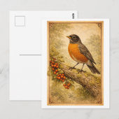Vintage-Style American Robin Illustration Briefkaart (Voorkant / Achterkant)