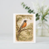 Vintage-Style American Robin lllustration Briefkaart (Staand voorkant)
