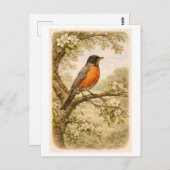Vintage-Style American Robin lllustration Briefkaart (Voorkant / Achterkant)