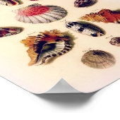 Vintage Sunset Seashell Collectie Poster (Hoek)