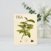 Vintage Tea Plant Briefkaart (Staand voorkant)