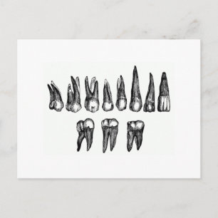Vintage Teeth Briefkaart