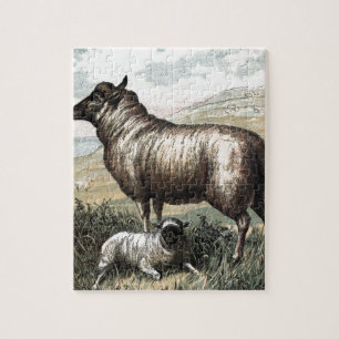 Vintage Tekening: De Perzische Schapen van de Legpuzzel
