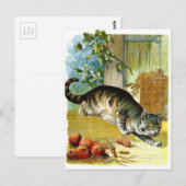Vintage Tekening: De sluwe Kat Briefkaart (Voorkant / Achterkant)