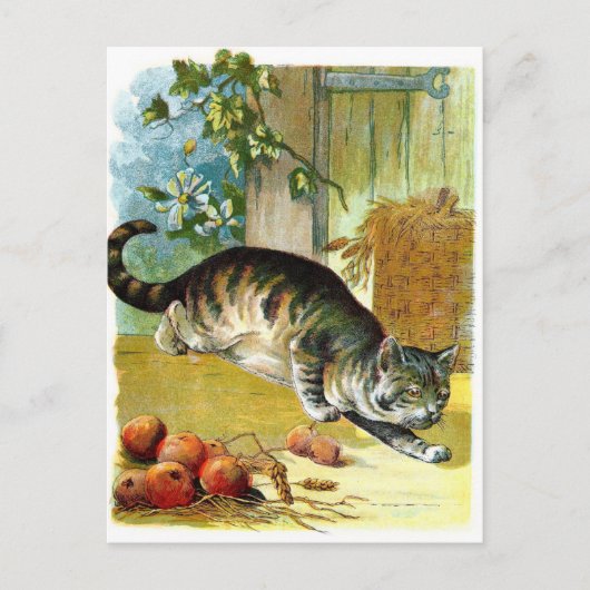 Vintage Tekening: De sluwe Kat Briefkaart (Voorkant)