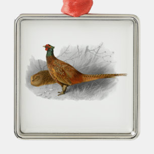 Vintage tekening van fazant wild gevogelte kleur # metalen ornament