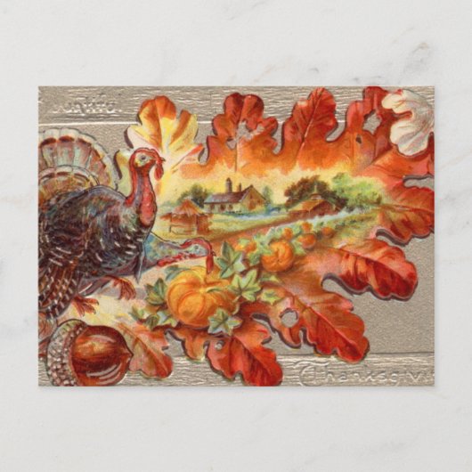 Vintage Thanksgiving Herfst Turkije Briefkaart (Voorkant)