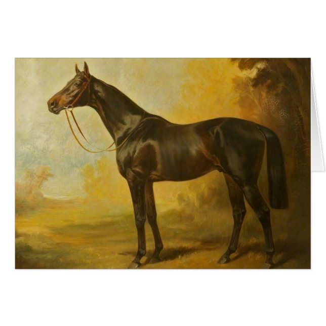 Vintage Thoroughbred Horse (Voorkant Horizontaal)