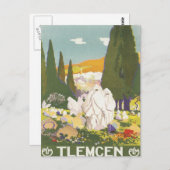Vintage Tlemcen Algerije Briefkaart (Voorkant / Achterkant)