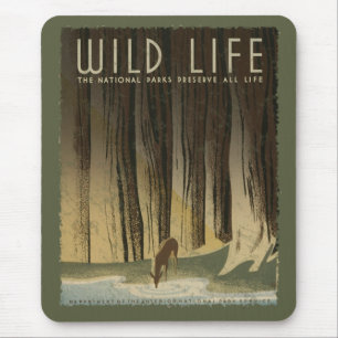 Vintage Travel Poster - Wildlife circa 1934 Muismat