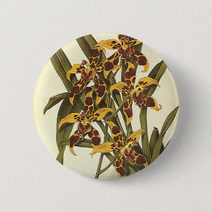 Vintage Tropische Odontoglossum Orchideeën Bloemen Ronde Button 5,7 Cm