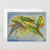 Vintage Turquoise Parrot Briefkaart (Voorkant / Achterkant)