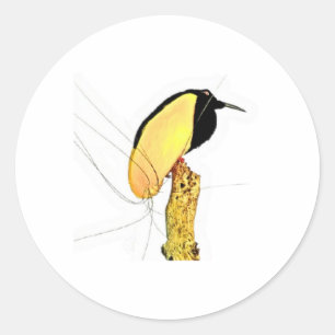 Vintage Twaalf-draadse Paradijsvogel Sticker, Exo Ronde Sticker