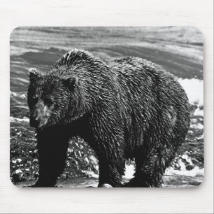 Vintage USA Alaska bruine beer Case-Mate iPhone ho Muismat