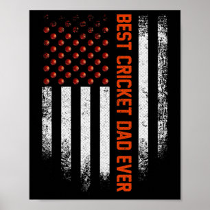 Vintage Usa Amerikaanse Vlag Beste Cricket Papa Oo Poster