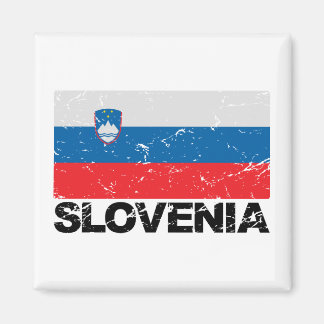 Vintage van de Sloveense vlag Magneet