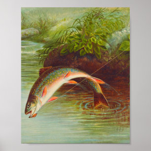 Vintage van leapende brook forel poster