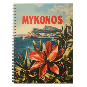 Vintage van Mykonos Notitieboek