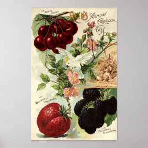 Vintage Victoriaans Hoesje zaadcatalogus van Reid  Poster
