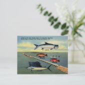 Vintage vis van het Briefkaart Florida Keys (Staand voorkant)