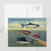 Vintage vis van het Briefkaart Florida Keys (Voorkant / Achterkant)