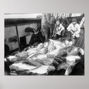 Vintage Visserij, de vroege jaren 1900 Poster