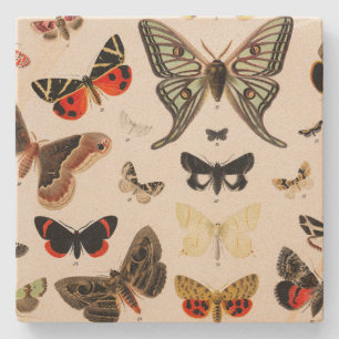 Vintage Vlinder Botanische Onderzetter
