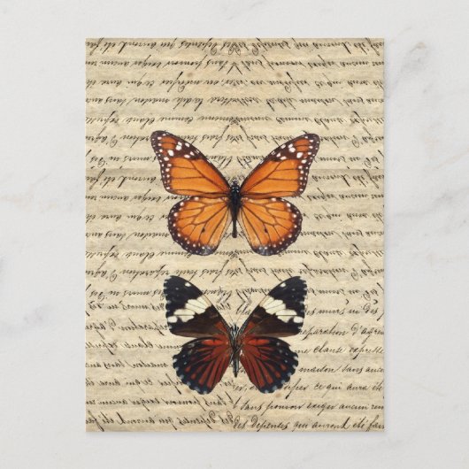 Vintage vlinder collectie briefkaart (Voorkant)