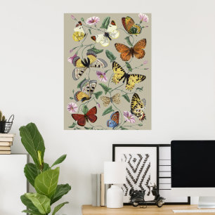 Vintage vlindermot botanische bloemkunst 1842 poster