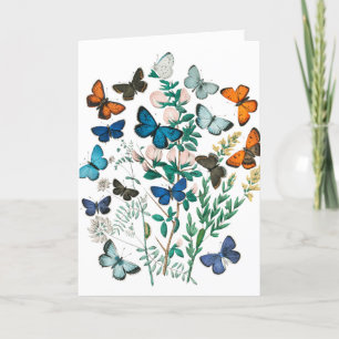 Vintage Vlinders/Bloemen Kunst Uw Tekst, Wit Bedankkaart