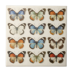 Vintage Vlinderspecimen Collectie Tegeltje