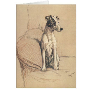 Vintage - Vloeiende fox terrier,