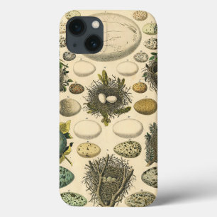 Vintage Vogel Ei Nest Kunst Schilderij Natuurlijke iPhone 13 Hoesje
