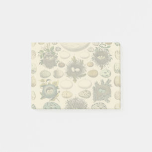 Vintage Vogel Ei Nest Kunst Schilderij Natuurlijke Post-it® Notes
