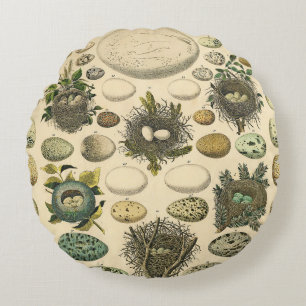 Vintage Vogel Ei Nest Kunst Schilderij Natuurlijke Rond Kussen