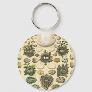 Vintage Vogel Ei Nest Kunst Schilderij Natuurlijke Sleutelhanger