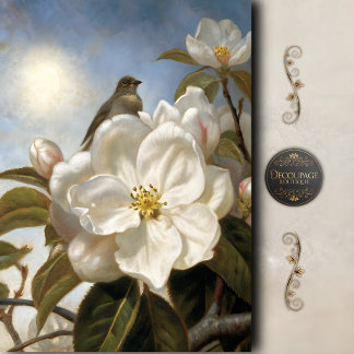 Vintage Vogel Magnolia Bloei Decoupage Tissuepapier
