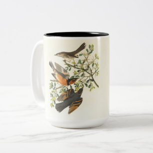 Vintage Vogel & Wilde Bloem Koffiekop Elegante N Tweekleurige Koffiemok
