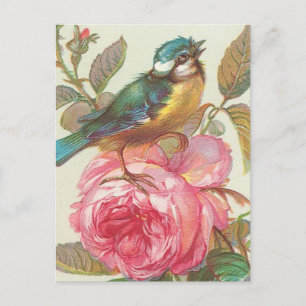 Vintage vogelBriefkaart Briefkaart