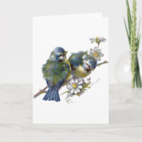 Vintage Vogels, Duitse Verjaardag