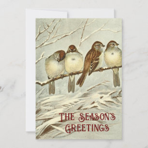 Vintage Vogels Huismus Sparrows Seizoensgroeten Feestdagenkaart