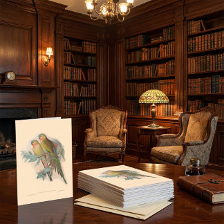 Vintage vogels, illustratie van tropische vogels kaart