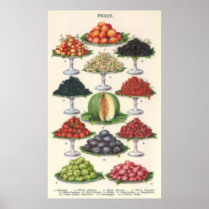 Vintage vruchten gesorteerd op laden voor catering poster